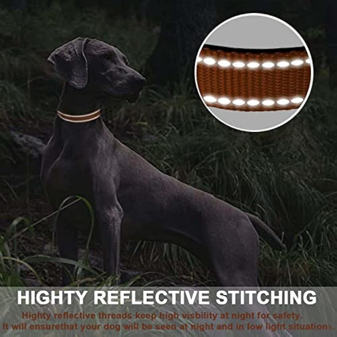ATETEO Dog Collar, Reflective Adjustable Basic Dog Collar with Soft Neoprene Padding, Durable Nylon Pet Collars for Puppy Large Dogs