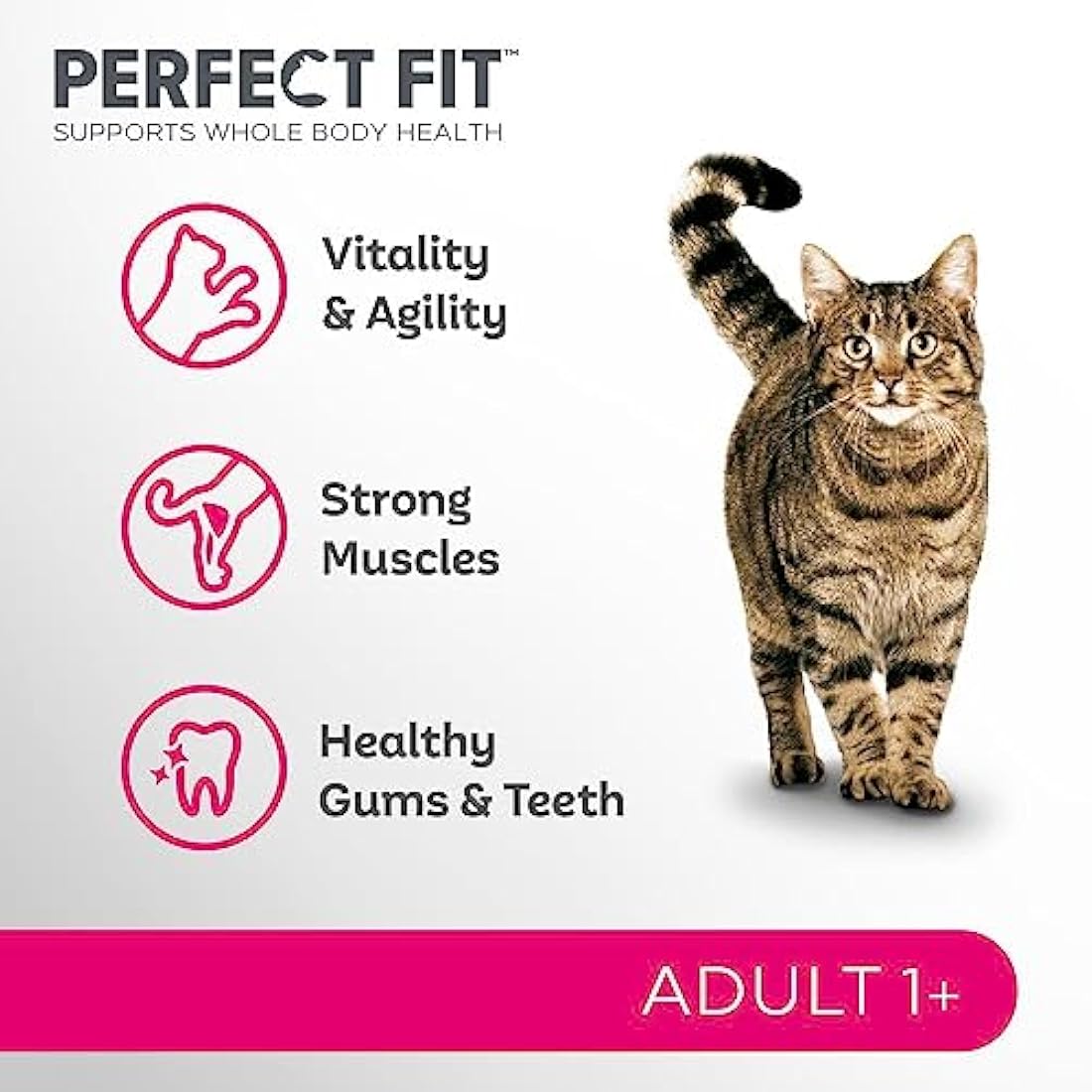 Perfect Fit Adult 1+ Complete Dry Cat Food for Adult Cats Aged 1+ Years, Rich in Salmon, 3 Bags (2.8 kg)