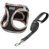 DORAMIO Step-in Dog Harness and Leash Set, Soft Mesh No-Chock Reflective Breathable Easy Walk Lightweight Vest Harnesses with Safety Buckle for Small Dogs, Cats, Puppies (Black Yellow, XS)