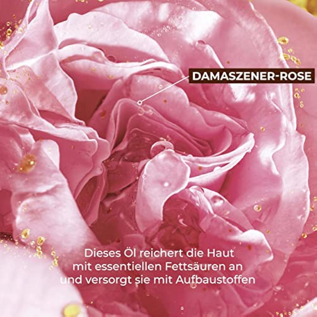 Yves Rocher RICHE CRÈME Anti-Wrinkle Day Care Regenerating Anti-Ageing Cream with Oil of 1000 Roses for Intensive Cell Regeneration - 50 ml