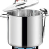 HOMICHEF Large Nickel Free Stainless Steel Stock Pot with Lid (31 cm, 22.5 Litre) - Mirror Polished Stock Pot with Lid - Heavy Soup Pot Large Cooking