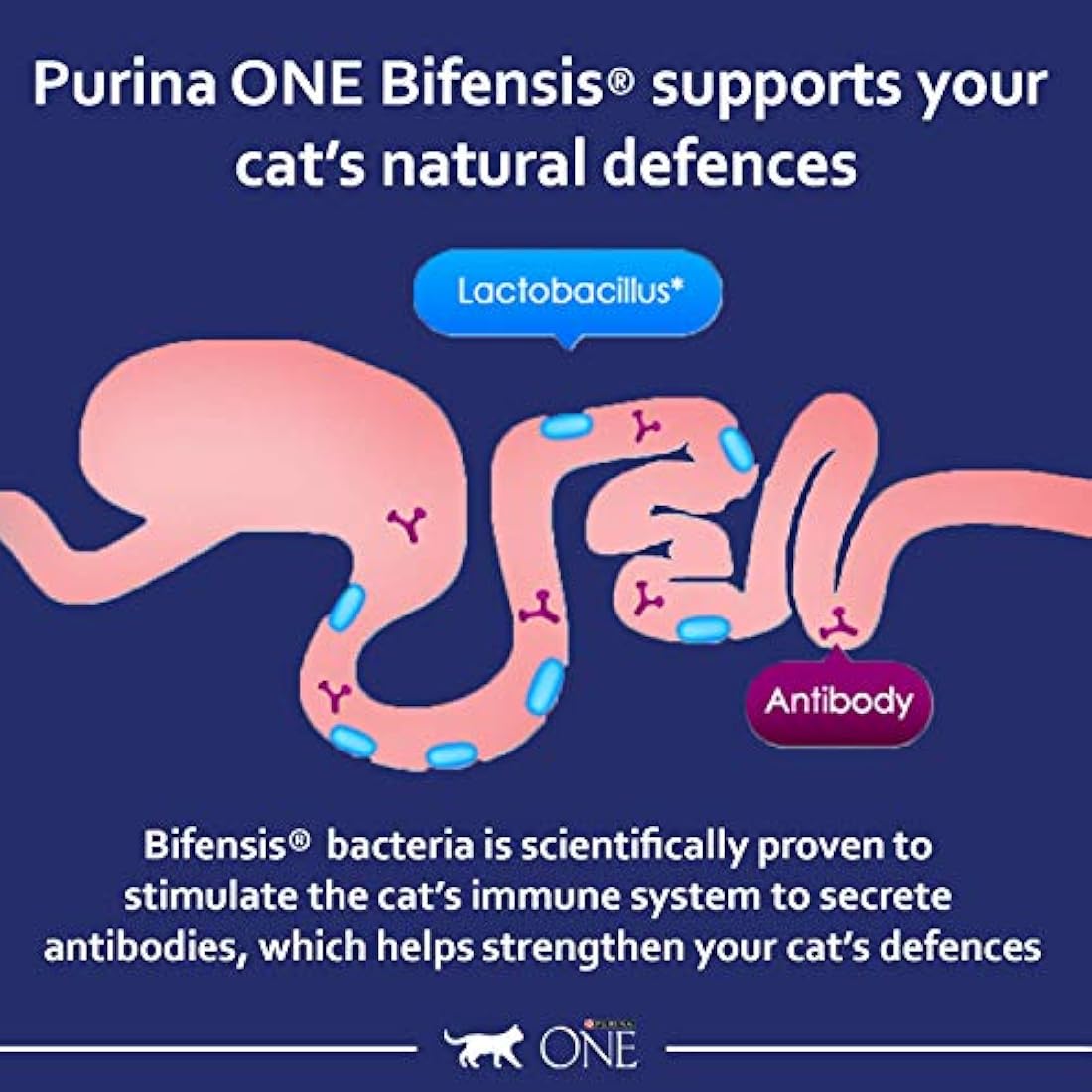 PURINA ONE Chicken Dry Cat Food 6kg