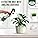 Growlands Indoor House Plant Food - 300 ml - Indoor Plant Liquid Spray Fertilizer - With Seaweed Extract - Designed For Use on All Plants - Ready to Use Mist Spray