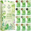 Herbal Age Grow Your Own Herb Garden Kit, 12 Herbs Plants, 8700 Herb Seed Box for Planting UK, Salad Leaves, Basil Seeds, Mint, Cress Seeds, Veg Plant Gardening Gift for Men, Women, Kids