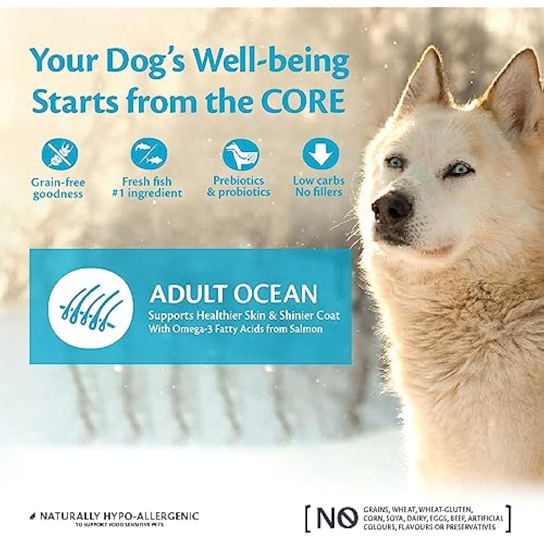 Wellness CORE Adult Ocean, 10kg, Salmon & Tuna, Dry Dog Food for Medium to Large Breeds, Grain-Free, High Fish Content, Protein-Rich, Supports Healthy Skin & Shiny Coat