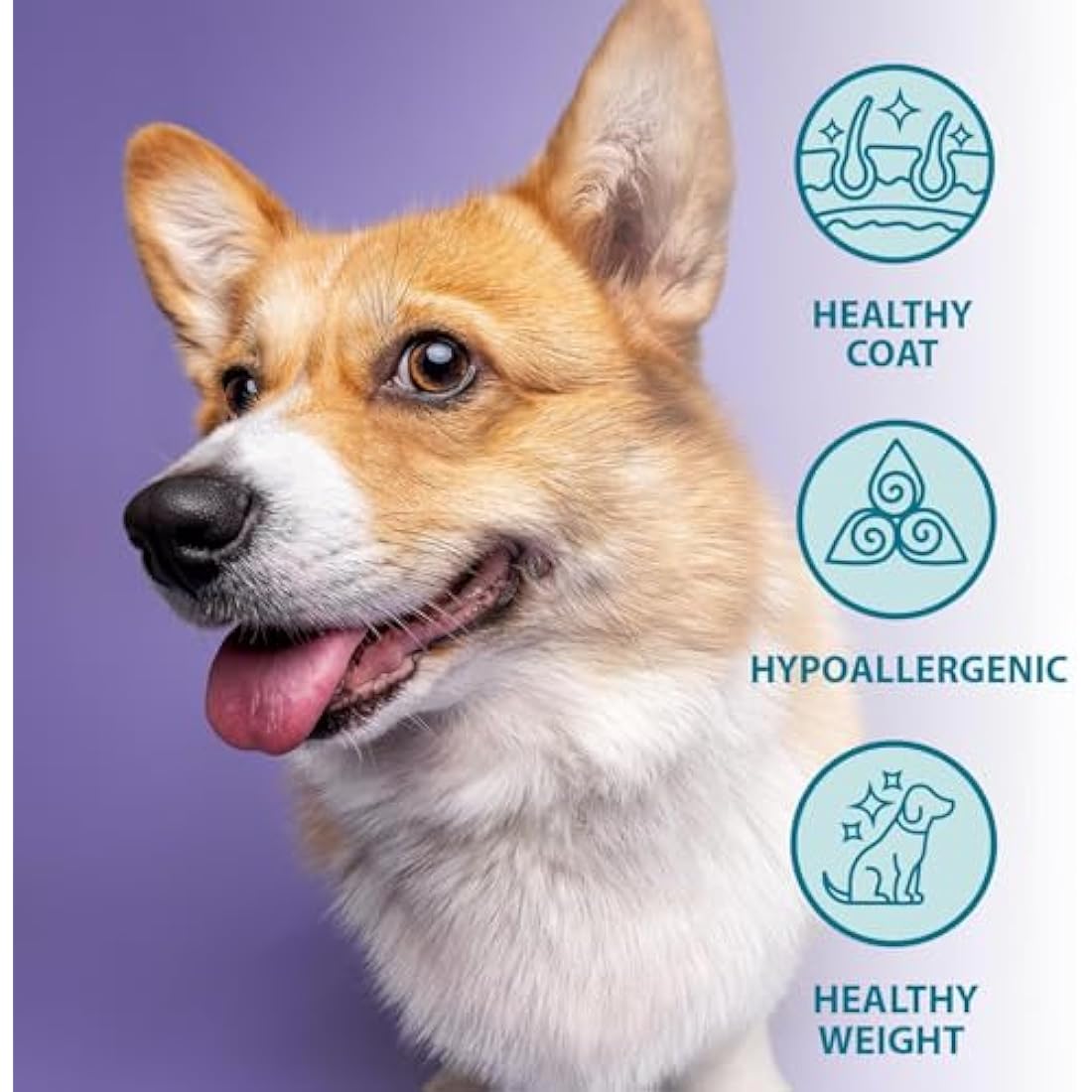 Burns Pet Nutrition Hypoallergenic Complete Dry Dog Food Adult and Senior Dog Grain Free Duck and Potato Grain Free 12 kg