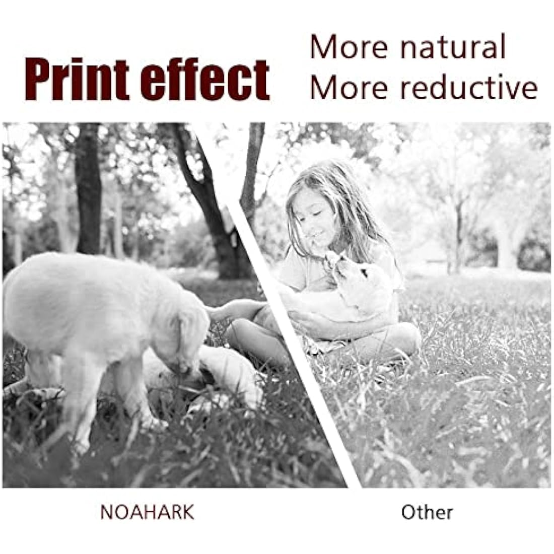 NoahArk Compatible for TL-410x (TL-410 TL-410H) Toner Cartridge use for Pantum P3010DW P3010DN M7100DW M7100DN P3300DW P3300DN M6708DW M6708DN M7108DW M7108DN M6808FDW M7208FDW M7308FDW (2 Black)