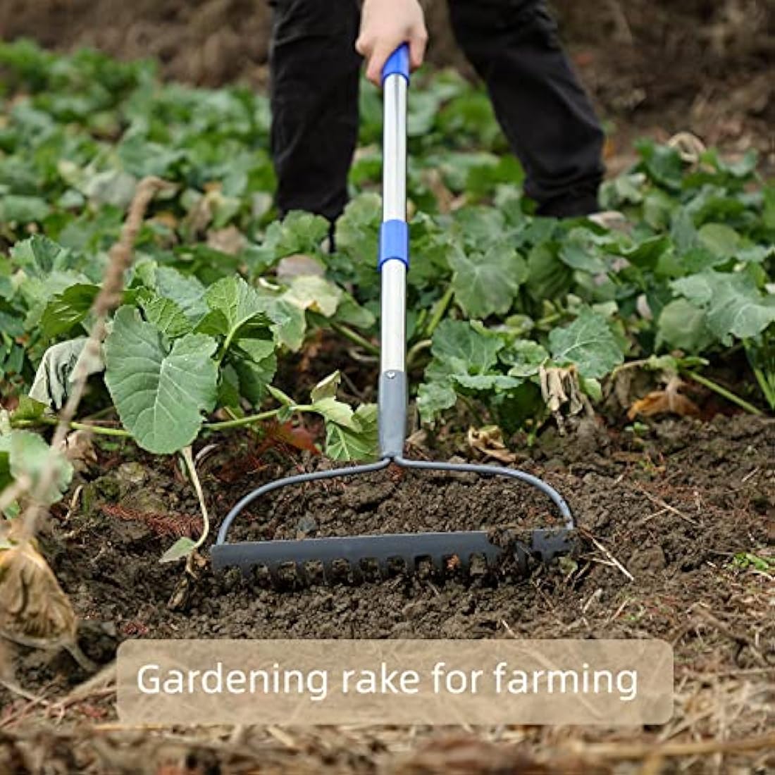 MIYA Garden Rakes for Soil with Long 182CM Handle,Heavy Duty 14 Tines Rake,Gardening Steel Tools&Equipment