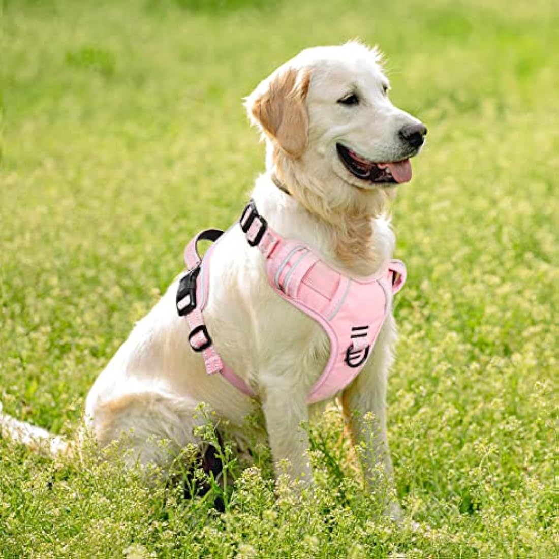 HEELE No Pull Dog Harness, Ex-Large, Release on Neck, Reflective, Adjustable with Front Back 2 Leash Attachments, Soft Padded Control Handle, Light Pink, XL
