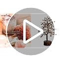 Wonder Care Crystal Tree for Home Decorations Crystals and Healing Stones Witchy Room Crystal Decor Tree Crystal Gifts Gem Tree Christmas Tree Stands for Real Tree (300 Beads Rose Quartz Tree)