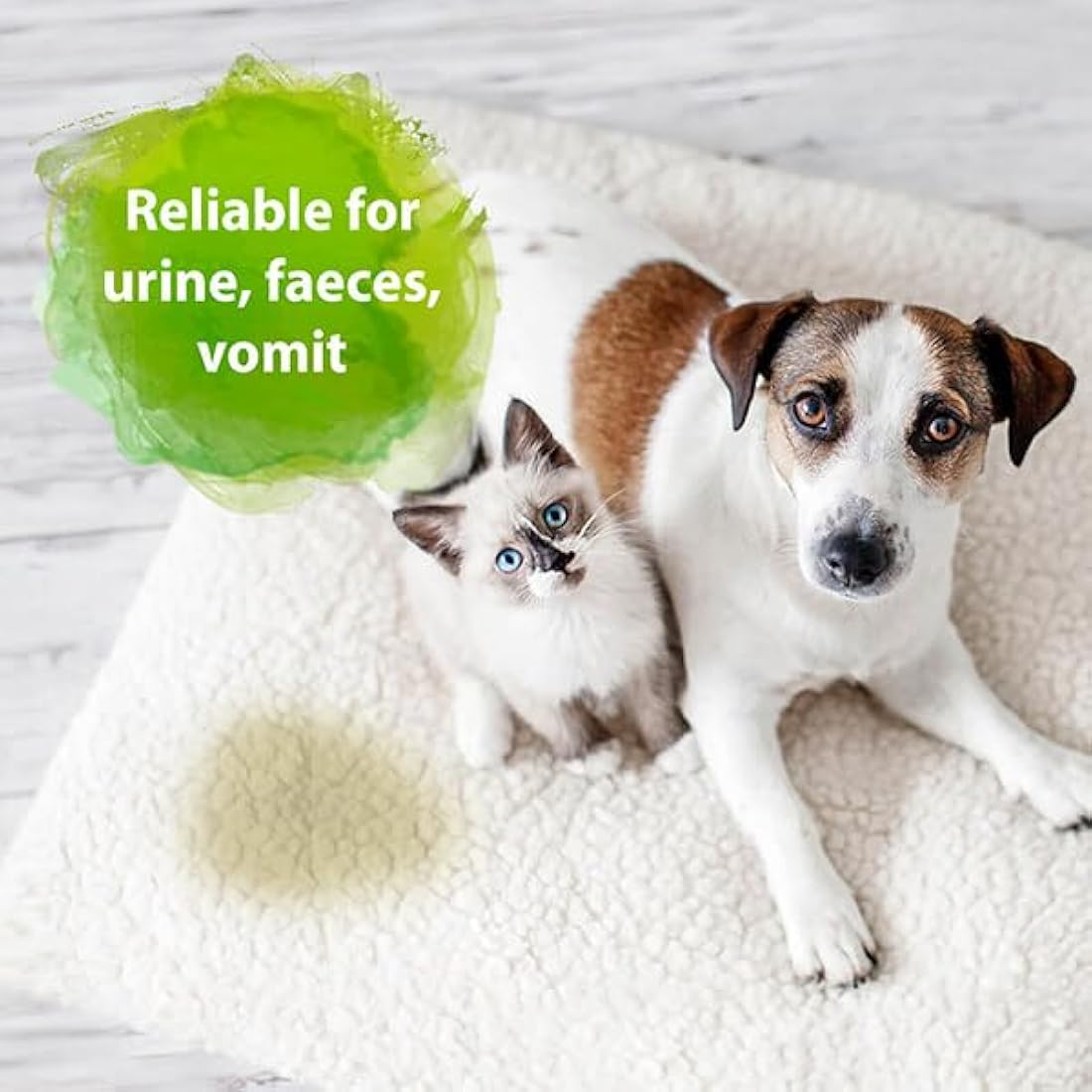 Bactador Odor and Stain Remover Concentrate 5L - Biological enzyme cleaner against sweat, smoke, cat urine, dog urine, animal odors - For household, car & animal environment