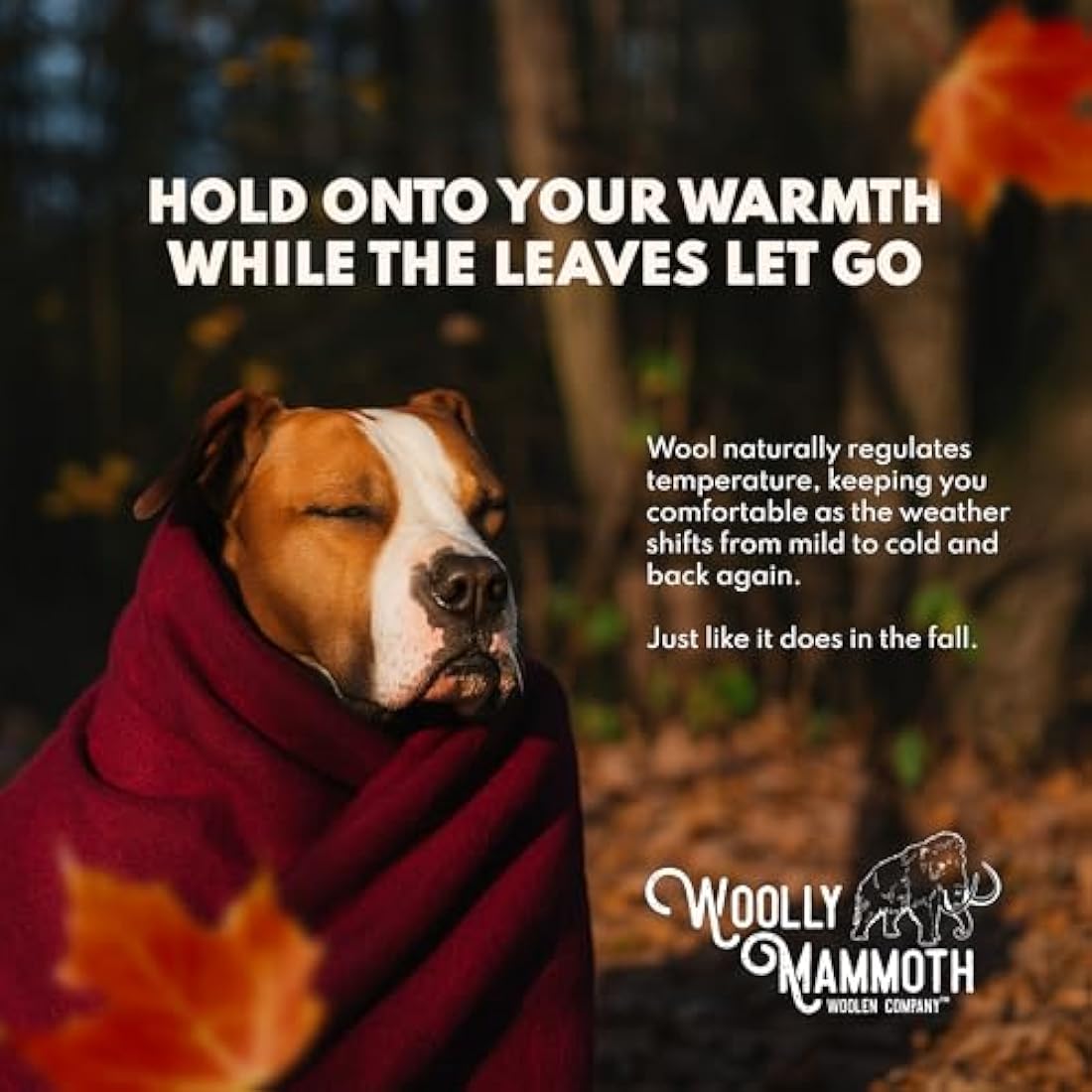 Woolly Mammoth Merino Wool Blanket - Large 66" x 90", 4LBS Camp Blanket | Throw for The Cabin, Cold Weather, Emergency, Dog Camping Gear, Hiking, Survival, Army, Outside, Outdoors – Brown