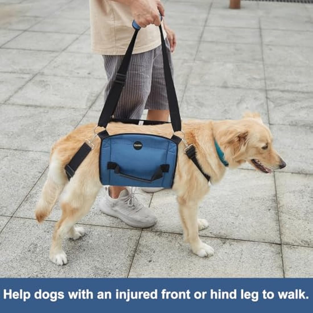 COODEO Dog Carry Sling, Emergency Backpack Pet Legs Support & Rehabilitation Dog Lift Harness for Nail Trimming, Dog Carrier for Senior Dogs Joint Injuries, Arthritis, Up and Down Stairs (XL, Blue)