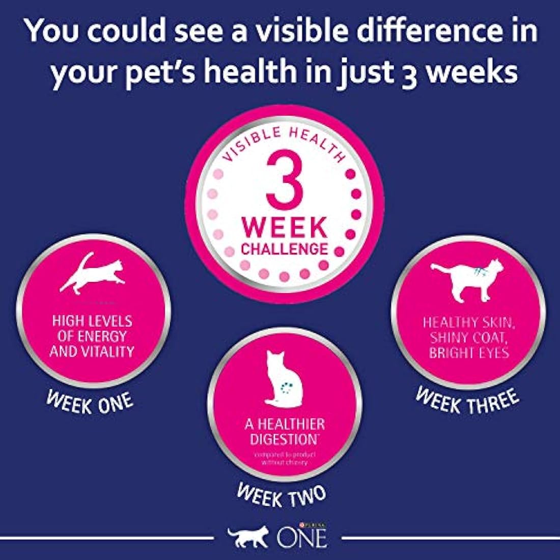 PURINA ONE Chicken Dry Cat Food 6kg