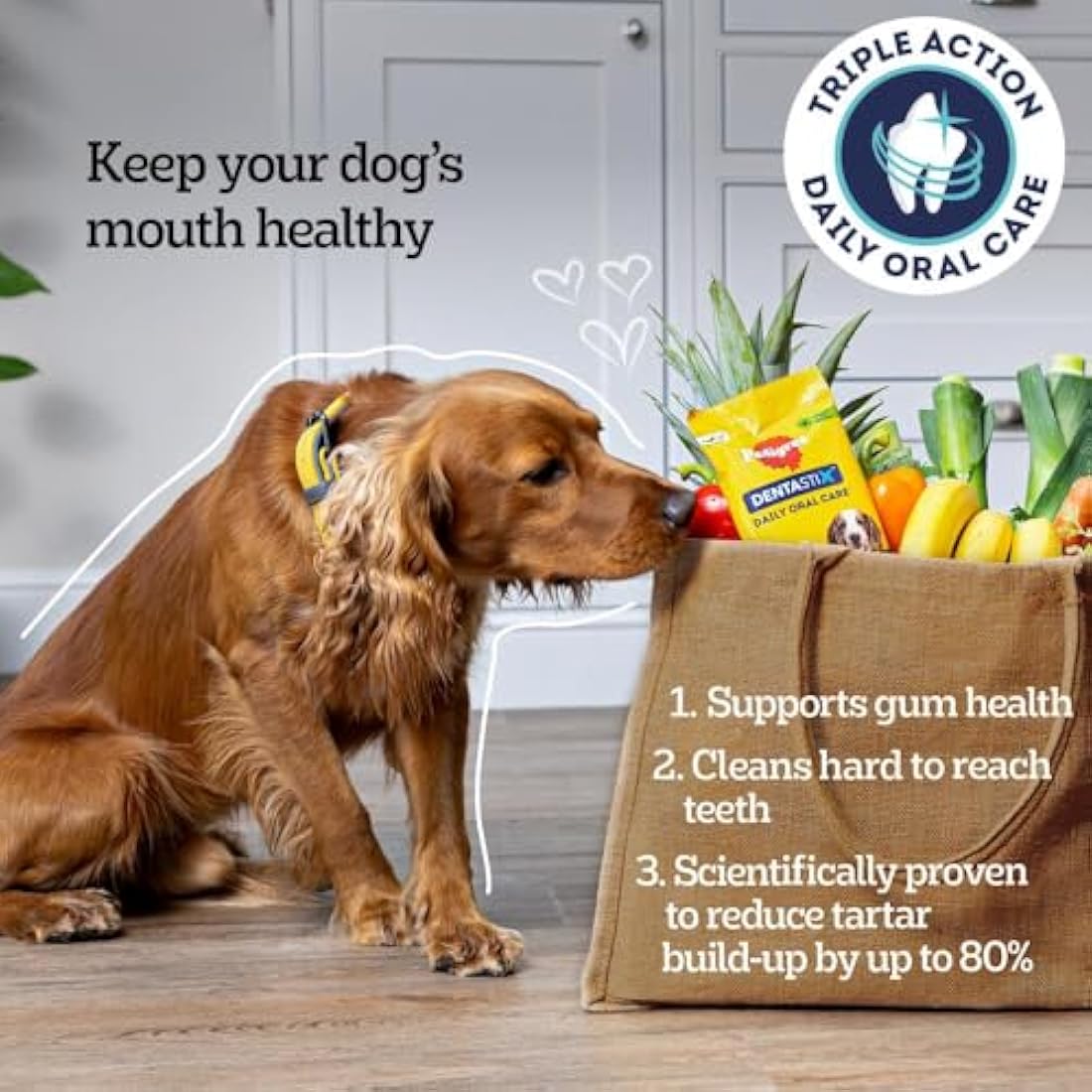 PEDIGREE DENTASTIX - Dental Dog Chews - Adult Large Dogs 25kg+ - 4 x 28 Sticks - Megapack of Dog Dental Sticks