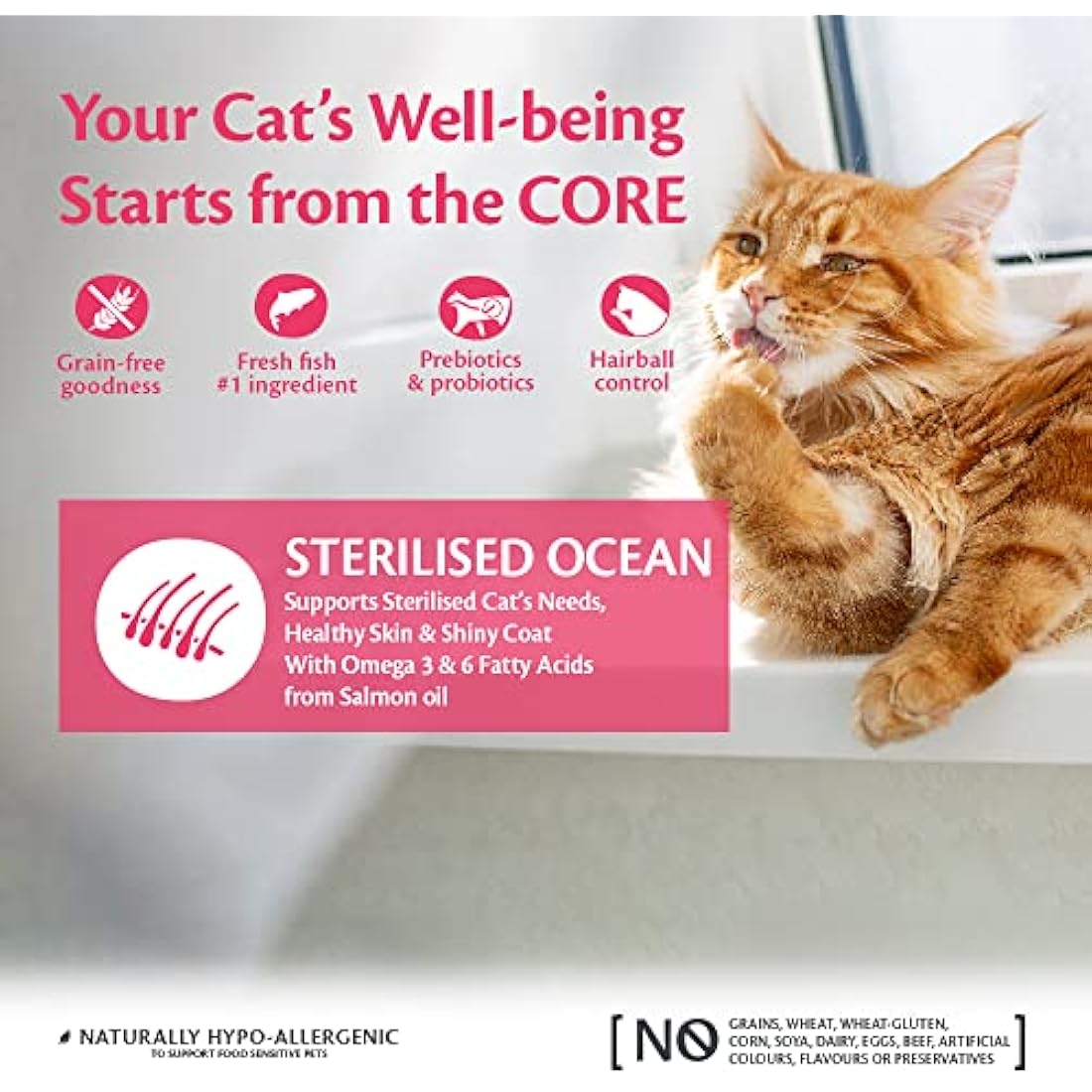 Wellness CORE Sterilised Ocean, 300g, Salmon, Dry Cat Food for Sterilised / Indoor Cats, Grain-Free, High Fish Content, Protein-Rich, Supports Healthy Skin & Shiny Coat