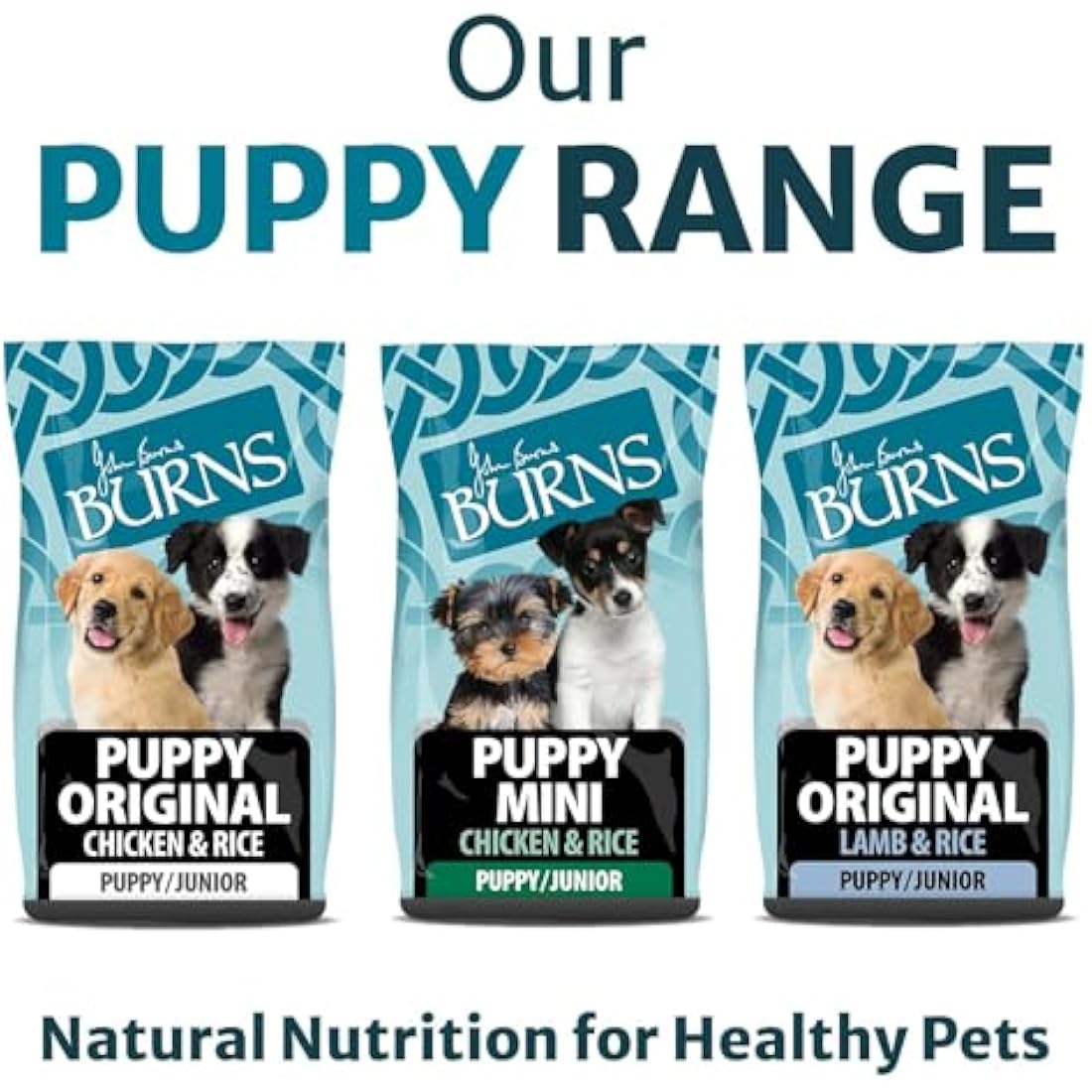 Burns Pet Nutrition Hypoallergenic Complete Dry Dog Food Puppy Original Lamb and Rice 6 kg