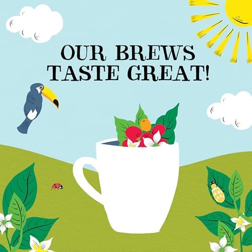Clipper Latin American Organic Instant Coffee | 6 x 100g Jars | Bulk Buy for Home & Catering | Arabica Gourmet Coffee | Sustainable Fairtrade Coffee by Clipper Teas | Ethically Sourced & Eco Conscious