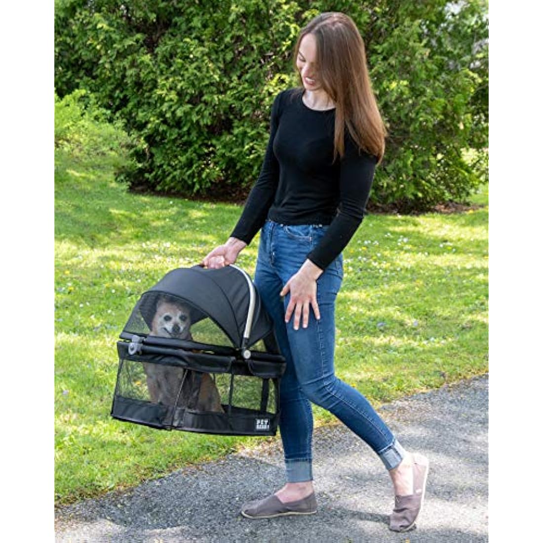 Pet Gear View 360 Pet Safety Carrier & Car Seat for Small Dogs & Cats Push Button Entry