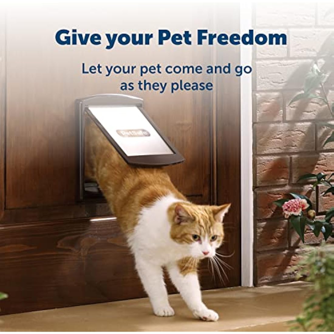 PetSafe Staywell, Convenient, Original 2 Way Pet Door, Fast Installation, Easy fitting, 2 Way Locking, Cat Flap for All Pets – Small - White