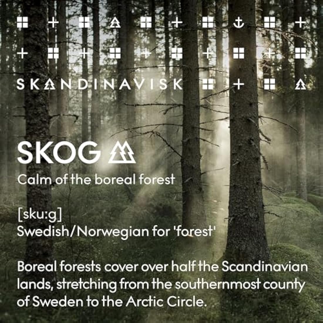 Skandinavisk SKOG ‘Forest’ Hand & body lotion, Scent notes: Pine needles and fir cones, birch sap and woodland lily of the valley, Coloured glass bottle with pump, 200 ml