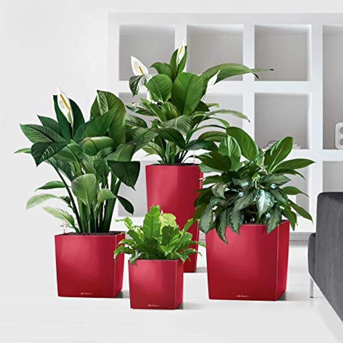 LECHUZA CUBE Premium 40 scarlet red high gloss 16367