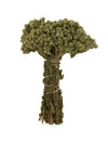 Dried Wild Oregano Bunch Qty-5 by Busy Beans
