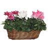 Opm RS30-323001 Mand Ovaal
