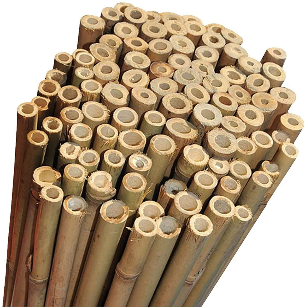 ONE PIECE 2ft (60cm) Bamboo cane