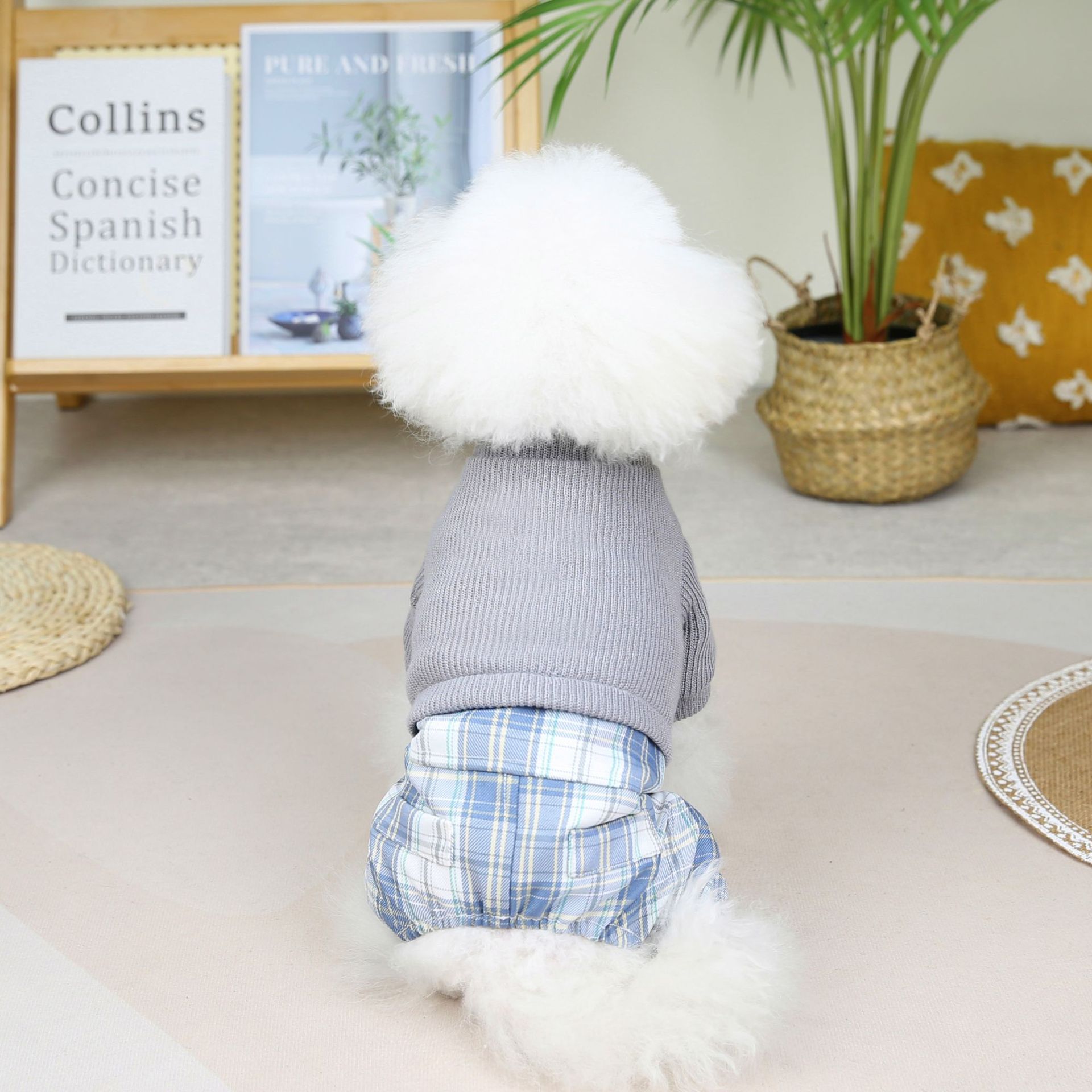 Wool Fabric Leisure Warm Sweatshirt Skirt Pants Suit Dog Clothes