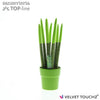 Sans Cyl Velvet Touchz Groen Keramiek
