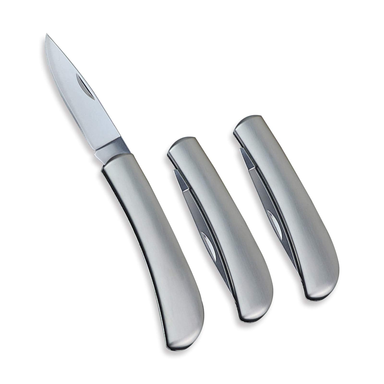 Kocpudu Fruit Knife, All Steel Foldable Fruit Knife Set, Exquisite and Beautiful, Small and Easy to Carry, Foldable Fruit Knife Suitable for Most