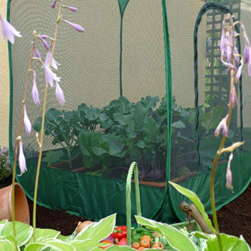 GardenSkill ? Network of Protection for seedlings, 1.35 m High, with Doors 1,25 m x 1,25 m x 1,35 m