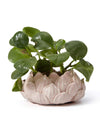 SEINHIJO Ceramic Planter Pot Cacuts Succulent Decor Gifts Flower Ornament Modern Indoor Sculpture Table Centerpiece Arts Crafts Pink 18cm