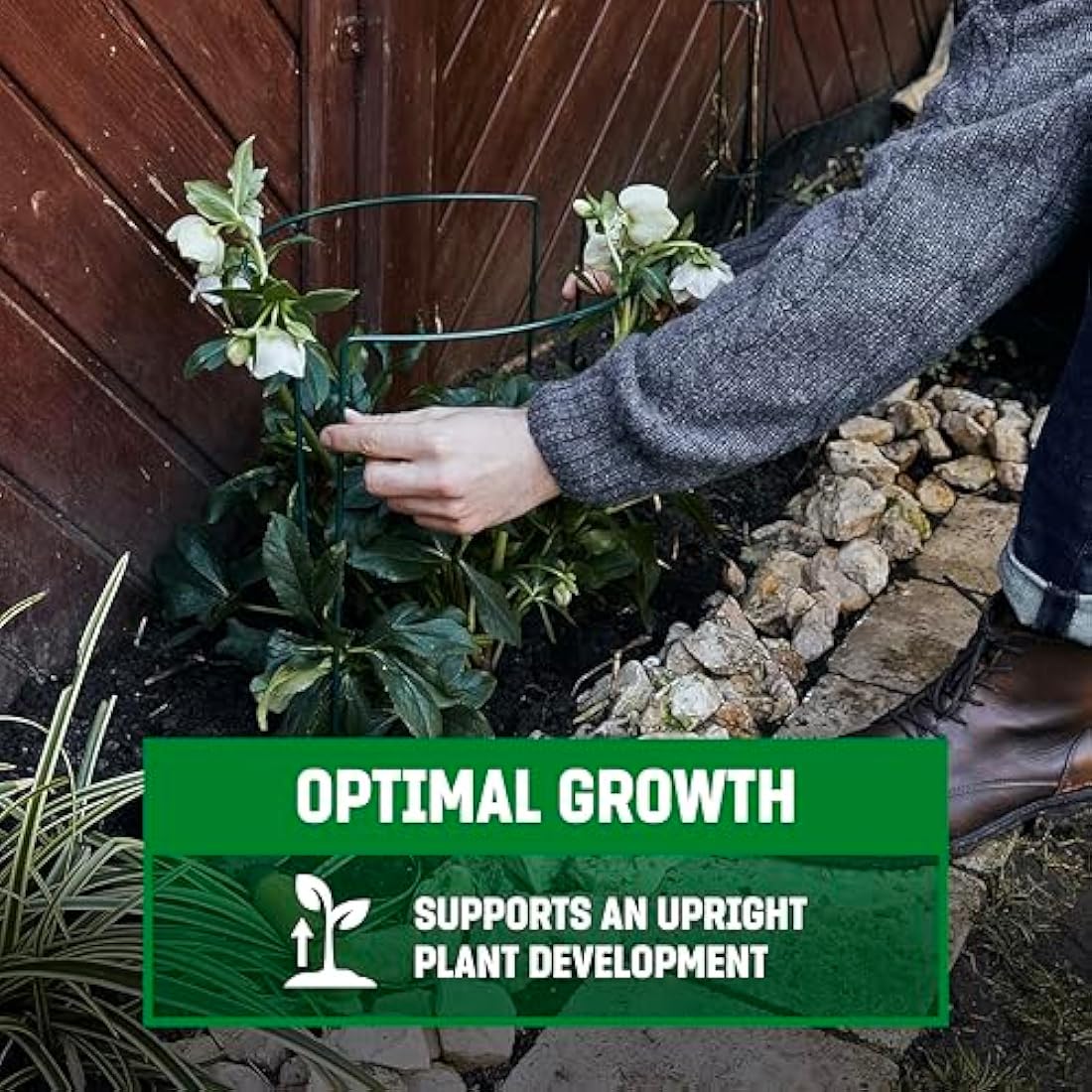 GardenGloss Shrub Supports (10 pcs) - Semicircular 35cm x 40cm - Dark Green Coated Steel Plant Support
