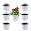 ShoppeWatch Self Watering Wall Planters for Indoor Plants 7 Pack Medium 5 Inch with Hooks | Outdoor Wall Pots for Plants | Wall Hanging Planters |