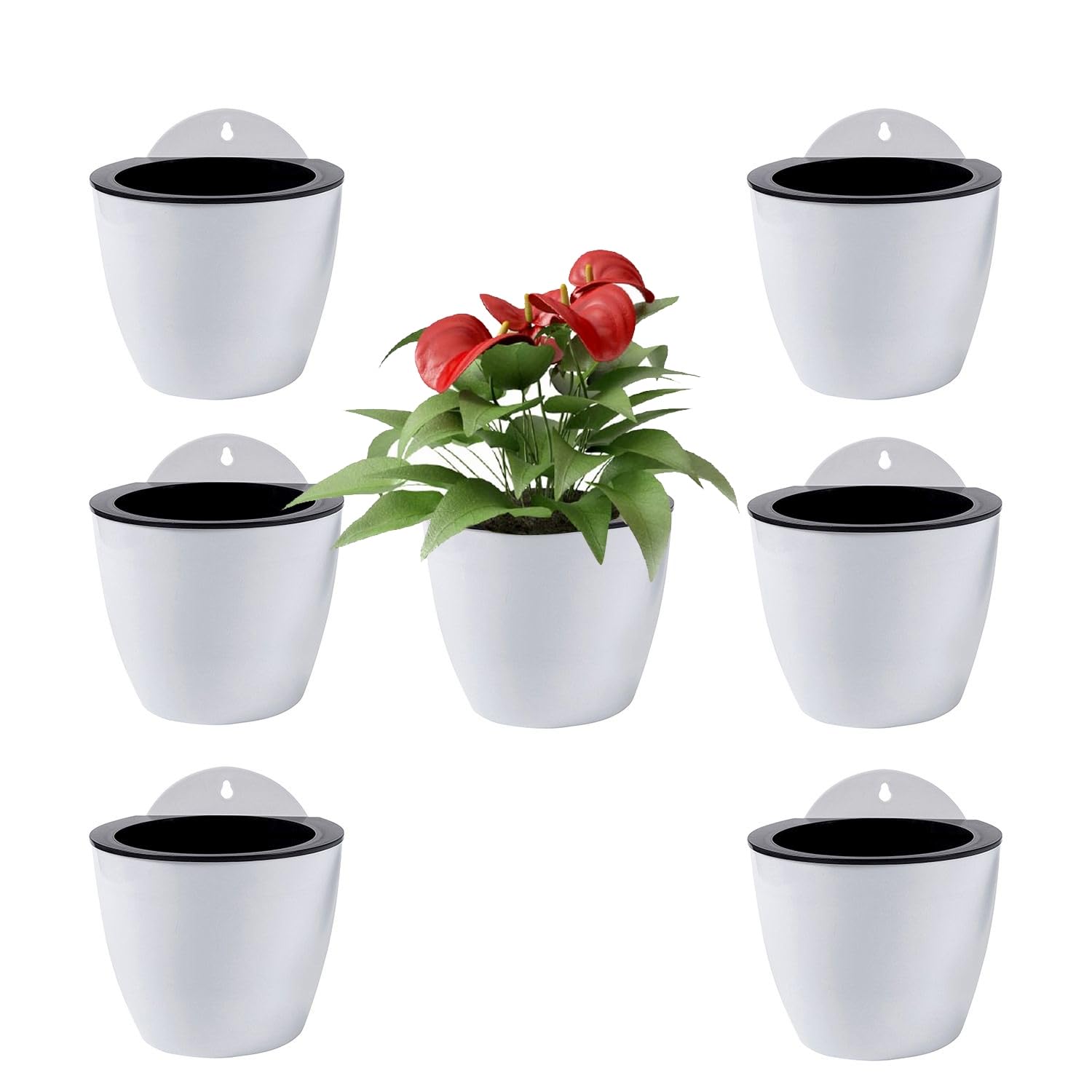 ShoppeWatch Self Watering Wall Planters for Indoor Plants 7 Pack Medium 5 Inch with Hooks | Outdoor Wall Pots for Plants | Wall Hanging Planters |