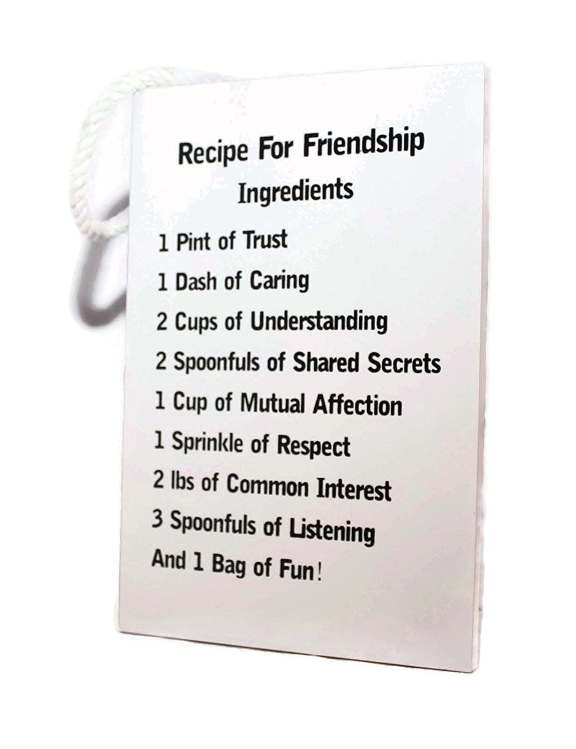 Recipe For Friendship Ingredients Plaque With Rope Hanger