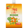 Japanese Shower Gel with Persimmon Tannin and Hyaluronic Acid, Moisturising and Antibacterial, Low Acid, Removes Unpleasant Body Odours, Eco Refill