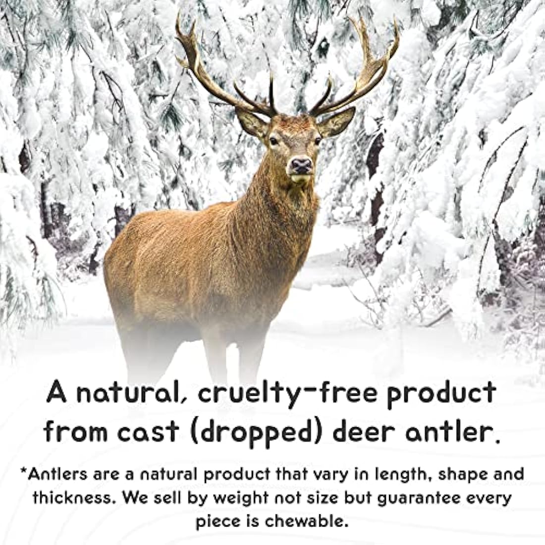 Ace Antlers Deer Antlers for Dogs (XXXXL 400-500g Piece) - Natural Dog Antler Chews for Chewing Satisfaction - 8 Sizes inc Small, Medium and Large Antlers for Puppies and Adult Dogs