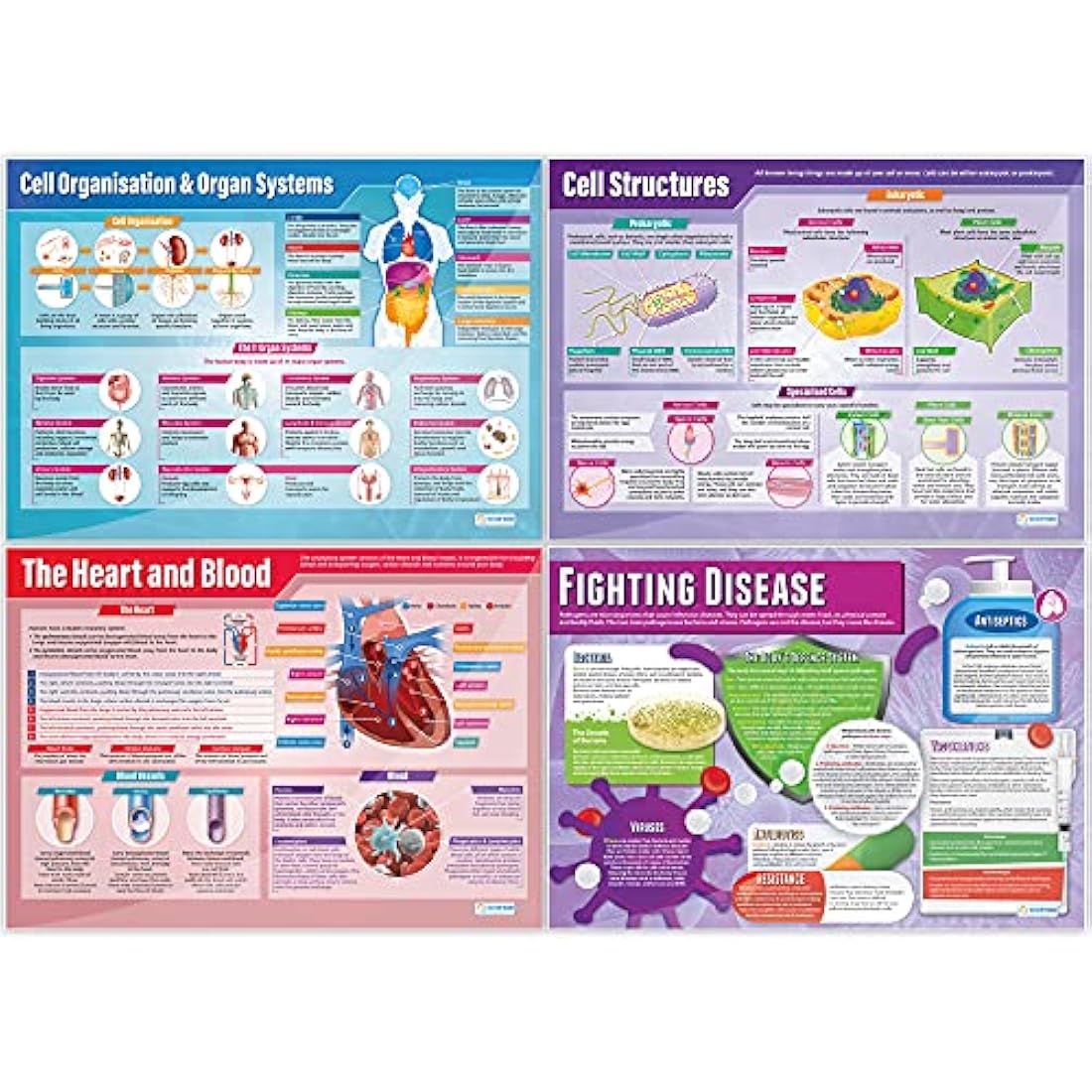 Daydream Education Biology Science Posters - Set of 13 - EXTRA LARGE A1 (850mm x 594mm) - Laminated - Science Secondary School Wall Charts for the Classroom
