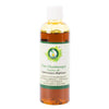R V Essential Pure Chaulmoogra Carrier Oil 100ml (3.38oz)- Hydnocarpus Wightiana (100% Pure and Natural Cold Pressed)