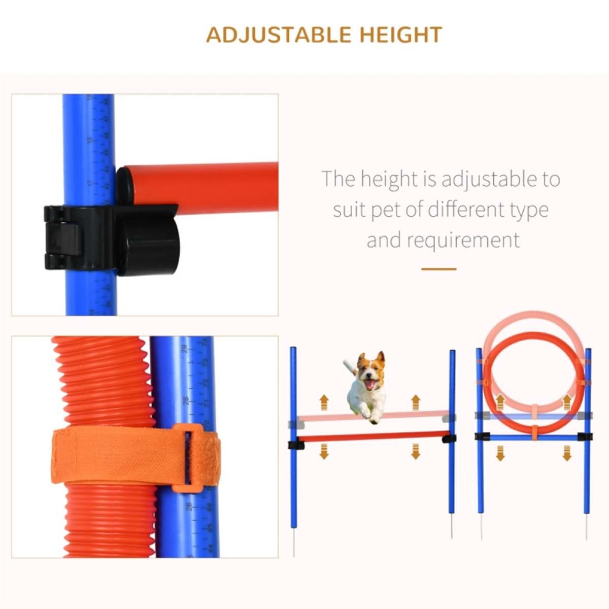 Dog agility training equipment