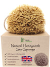 Skin Unique Mediterranean Natural Sea Sponge in Gift Box - Unbleached Honeycomb, Strong, Durable - 100% Organic, Hypoallergenic - Children and Adults