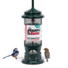 Squirrel Proof Bird Feeder for Seeds - Jacobi Jayne? Squirrel Buster? Seed Bird Feeder ? Pigeon Proof Metal Bird Seed Feeder for Wild Birds ? Easy