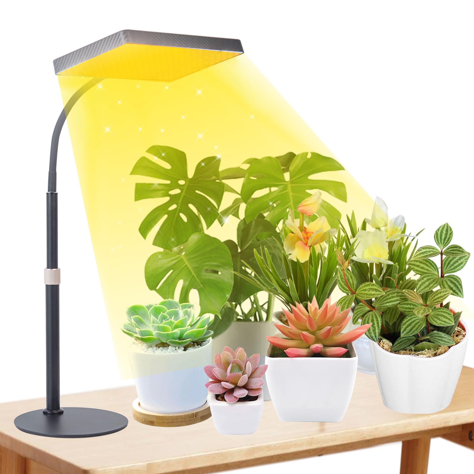 FECiDA Grow Lights for Indoor Plants, UV-IR Full Spectrum Desk LED Plant Grow Light, 25 Watt 2000 Lumen Houseplant Growing Lamp with On/Off Switch,