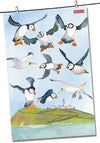 Emma Ball "Puffin Coastal Puffins, Pure cotton tea towel