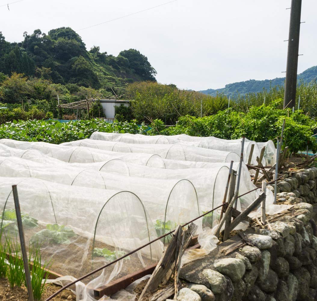 Garden Insect Netting Fine Mesh: 3x15m Vegetable Protection Net Butterfly Netting for Plant Fruit Carrot fly Crop Protect Anti Bug Pest Silver