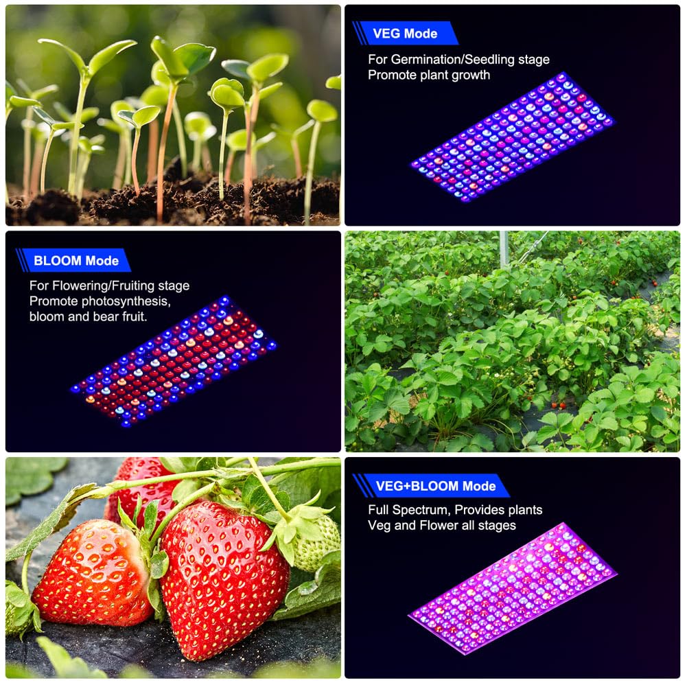 2024 Newest BW2000 LED Grow Lights Double Chips Full Spectrum with 3-Metre Cable for Greenhouse and Indoor Plant Veg and Flower Growing[White]