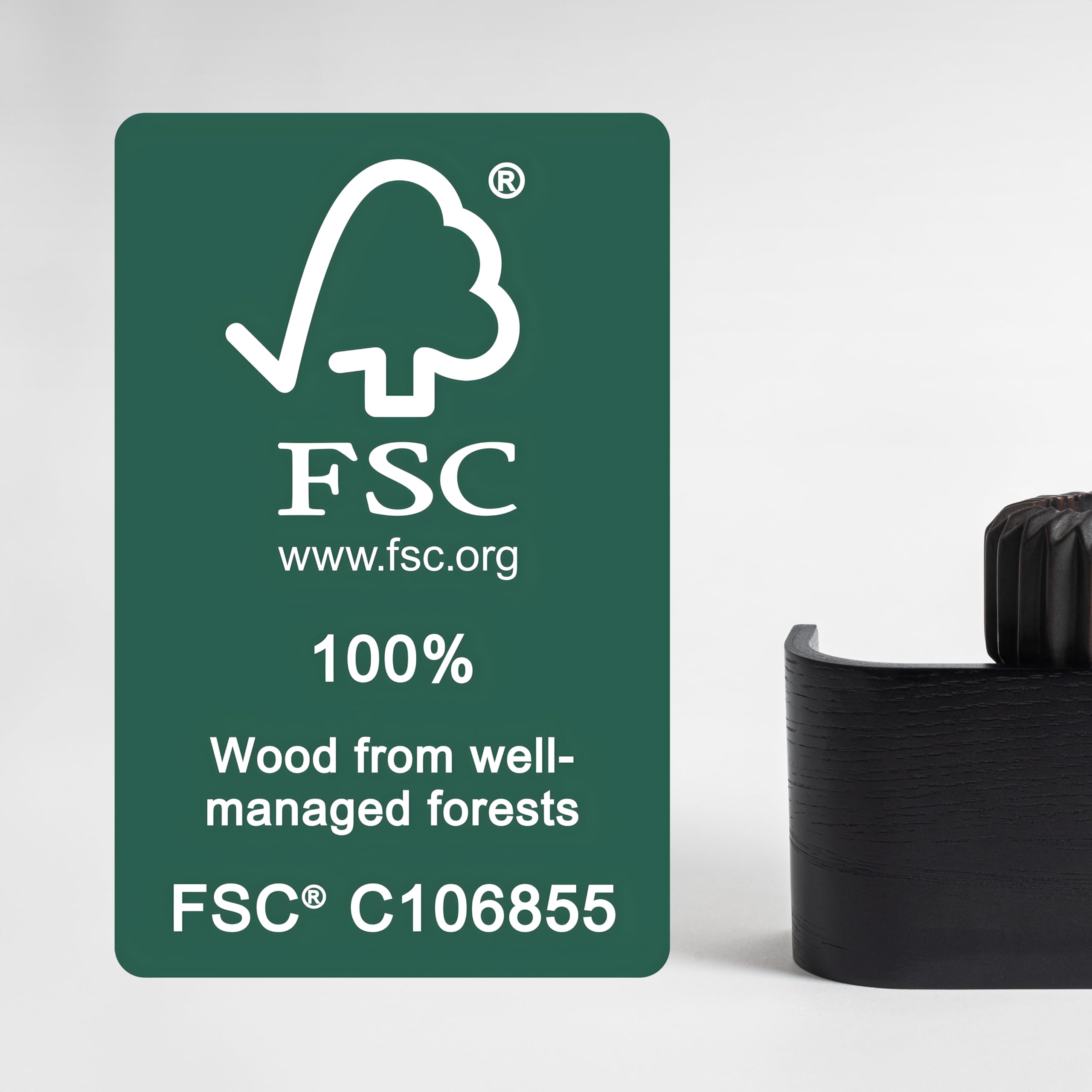 Kazai. Wall-Mounted Coat Rack 'Toke' | Modern Design Coat Rack with Hidden Wall Hooks | Solid Wood Veneer Panel Coat Hanger | Oak, Black